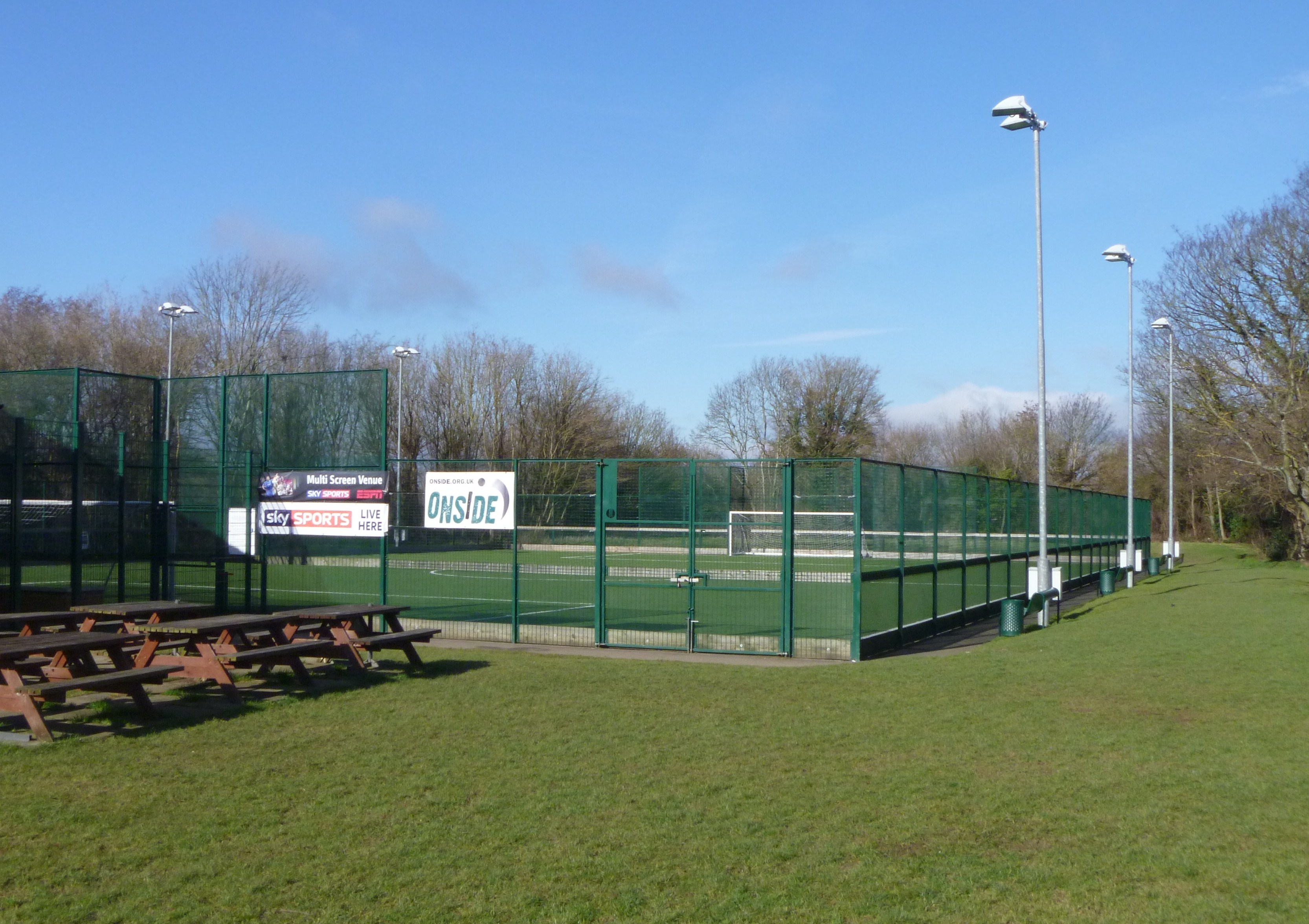 Artificial Training Pitch